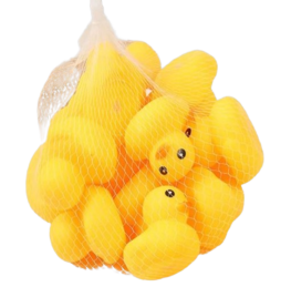 Canard de Bain...