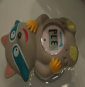 Thermomètre de Bain - Raton Laveur