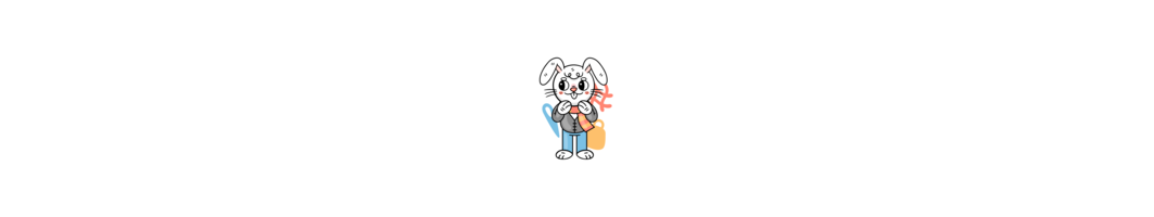 The Adorable Collection | P'tit Lapinou